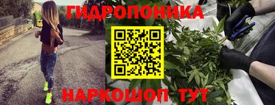 мдпв Шахты