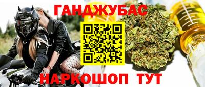 индика Шелехов