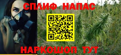 индика Шелехов