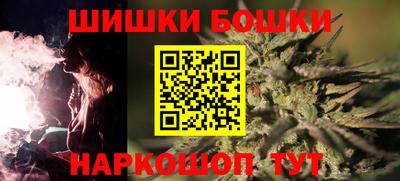 индика Шелехов